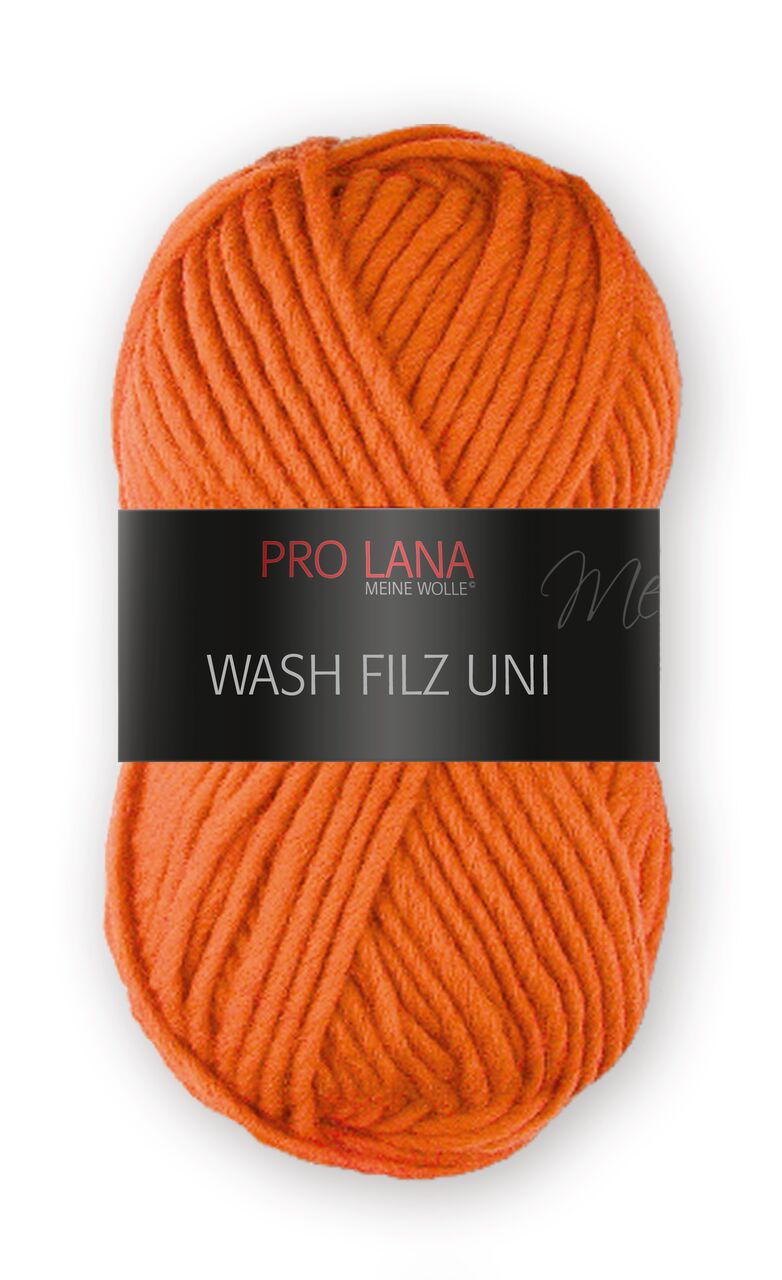 PRO Lana WASH FILZ UNI 127